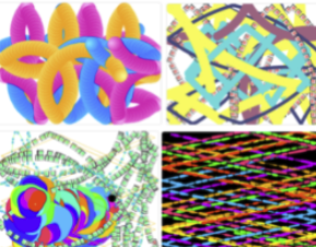 Examples of what 4th grader learn in CS