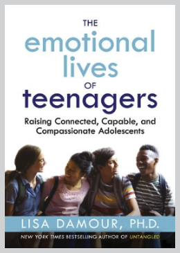 The Emotional Lives of Teenagers book cover